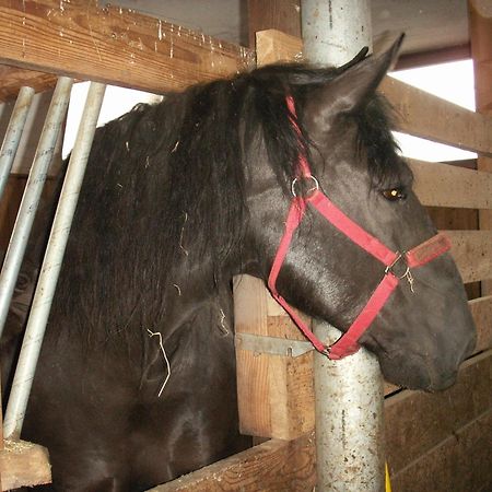 Ferienhof Woelflbauer Saalbach-Hinterglemm Eksteriør billede